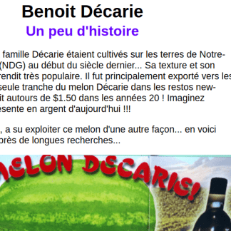 benoitdecarie.com