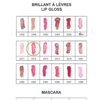 Lip Gloss #2372 Hibiscus