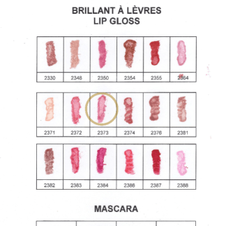 Lip Gloss #2373 Pink Petal